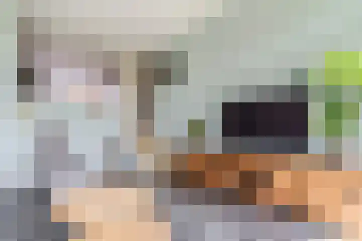 Assumburglaan 2 Obdam thumbnail 14