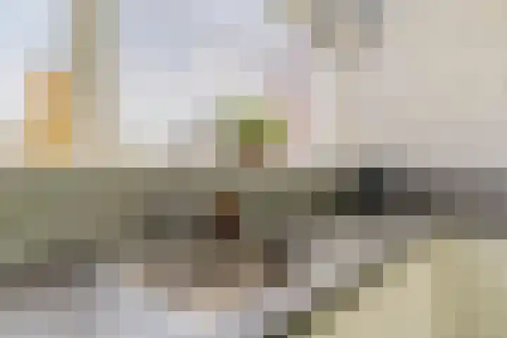 Assumburglaan 2 Obdam thumbnail 17