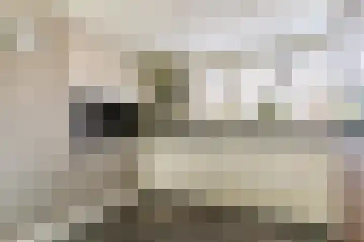 Assumburglaan 2 Obdam thumbnail 20