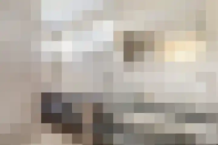 Assumburglaan 2 Obdam thumbnail 26