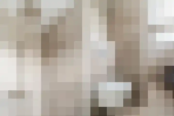 Assumburglaan 2 Obdam thumbnail 28