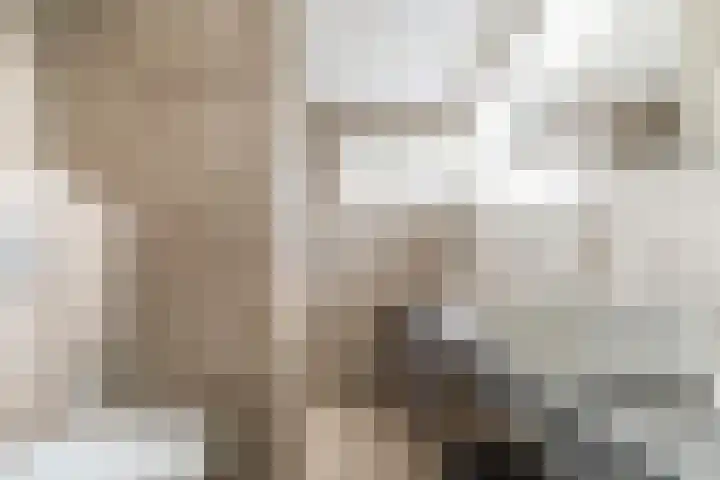 Assumburglaan 2 Obdam thumbnail 29