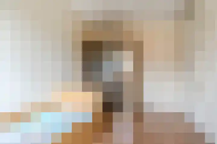 Assumburglaan 2 Obdam thumbnail 31