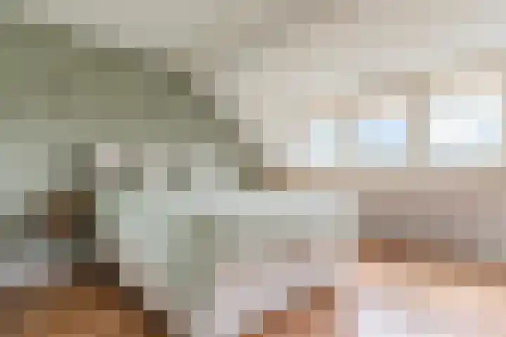 Assumburglaan 2 Obdam thumbnail 35