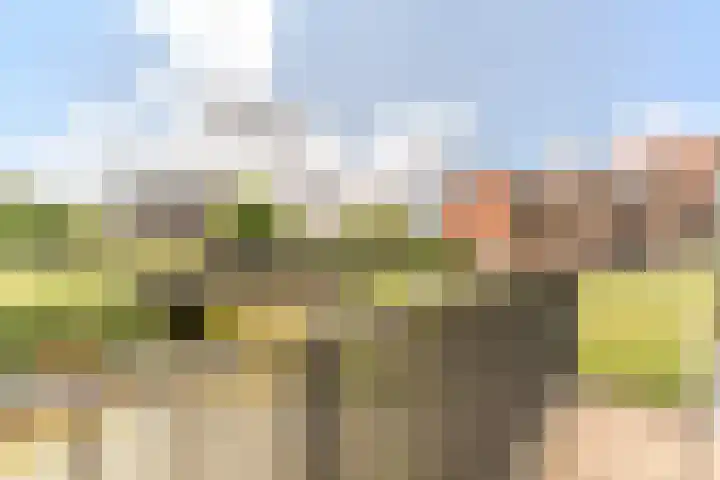 Assumburglaan 2 Obdam thumbnail 43