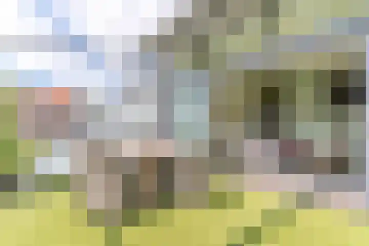 Assumburglaan 2 Obdam thumbnail 45