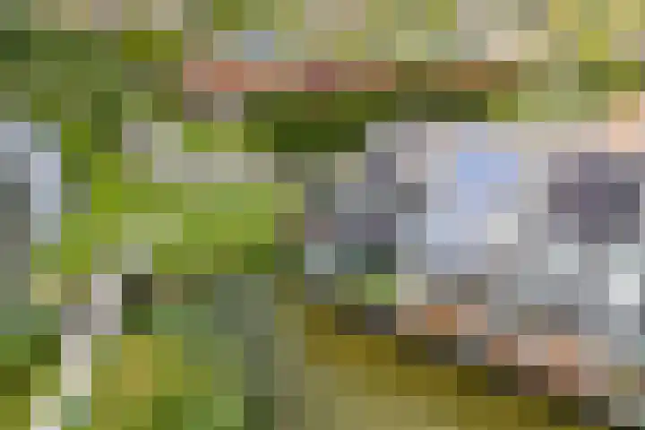 Assumburglaan 2 Obdam thumbnail 50