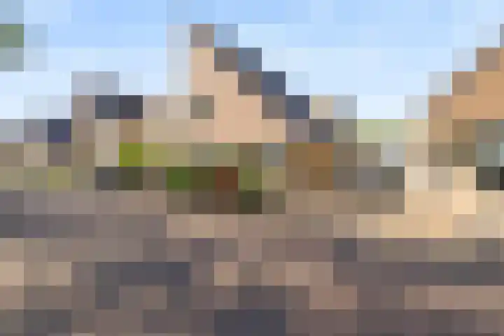 Asterddijk 48 in Breda