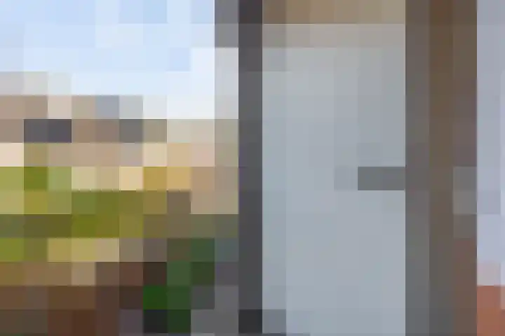 Asterhof 2 Schijndel thumbnail 19