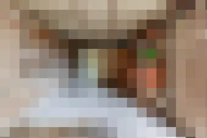 Asterhof 2 Schijndel thumbnail 25