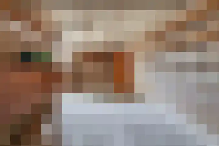 Asterhof 2 Schijndel thumbnail 26