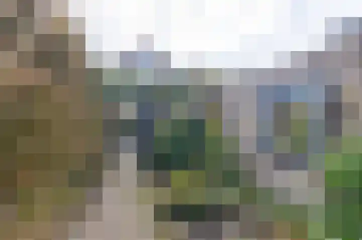 Asterhof 2 Schijndel thumbnail 30