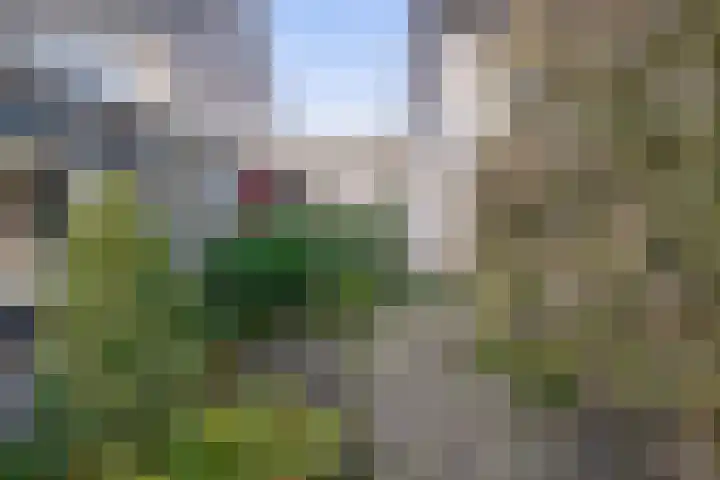 Asterhof 2 Schijndel thumbnail 31