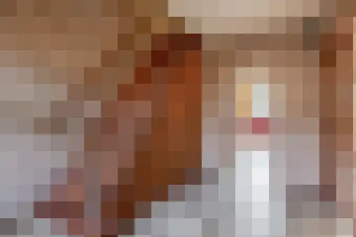 Asterhof 2 Schijndel thumbnail 9