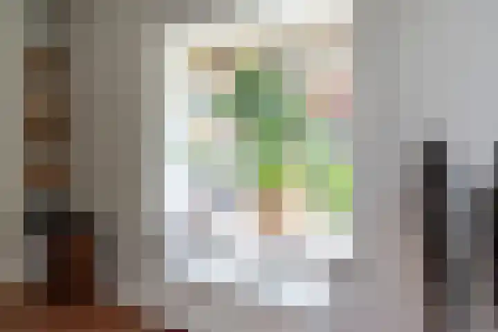 Asterlaan 6 Aerdenhout thumbnail 12