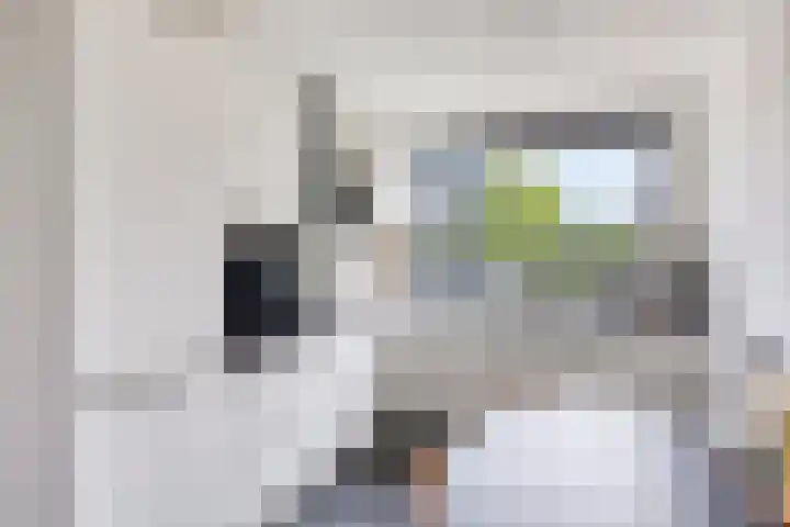 Astersingel 22 Berkel en Rodenrijs thumbnail 10