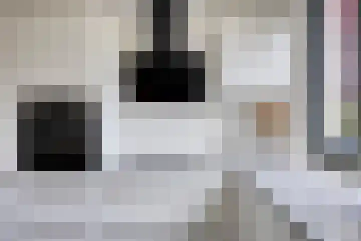 Astersingel 22 Berkel en Rodenrijs thumbnail 11