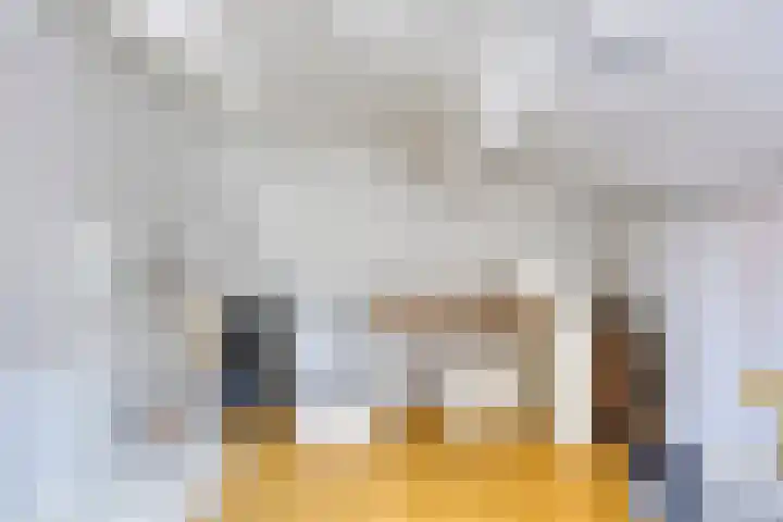Astersingel 22 Berkel en Rodenrijs thumbnail 35