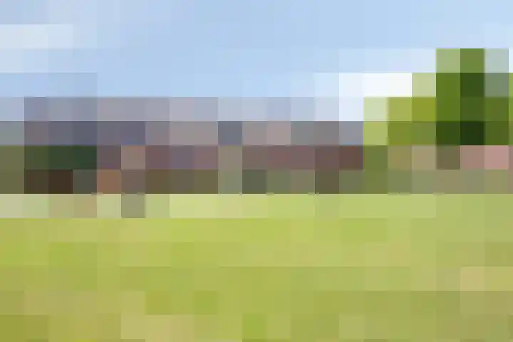 Astersingel 22 Berkel en Rodenrijs thumbnail 37