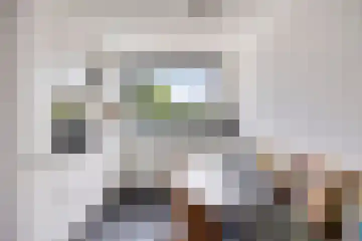 Astersingel 22 Berkel en Rodenrijs thumbnail 9