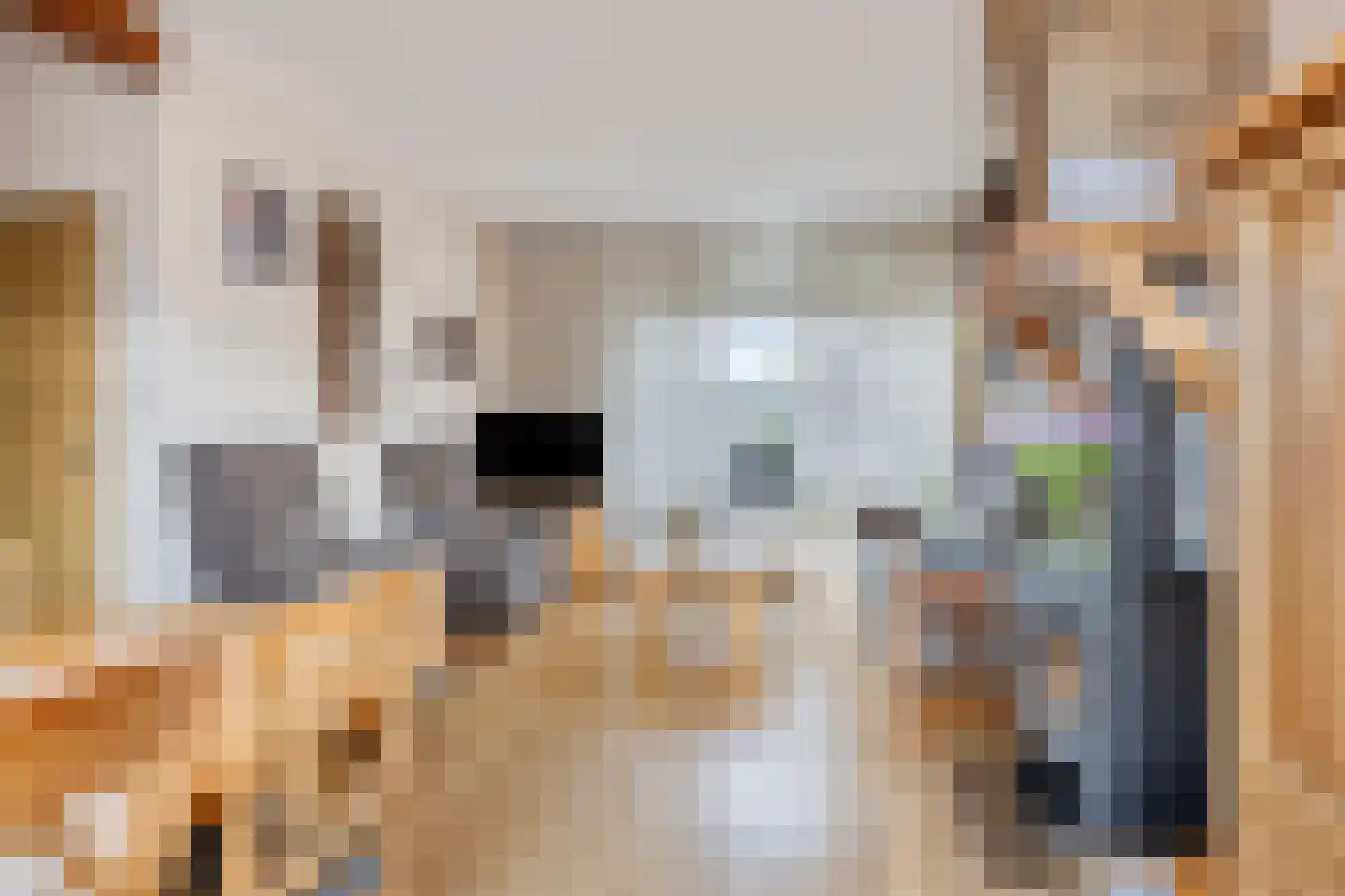 Asterstraat 11 Made thumbnail 8