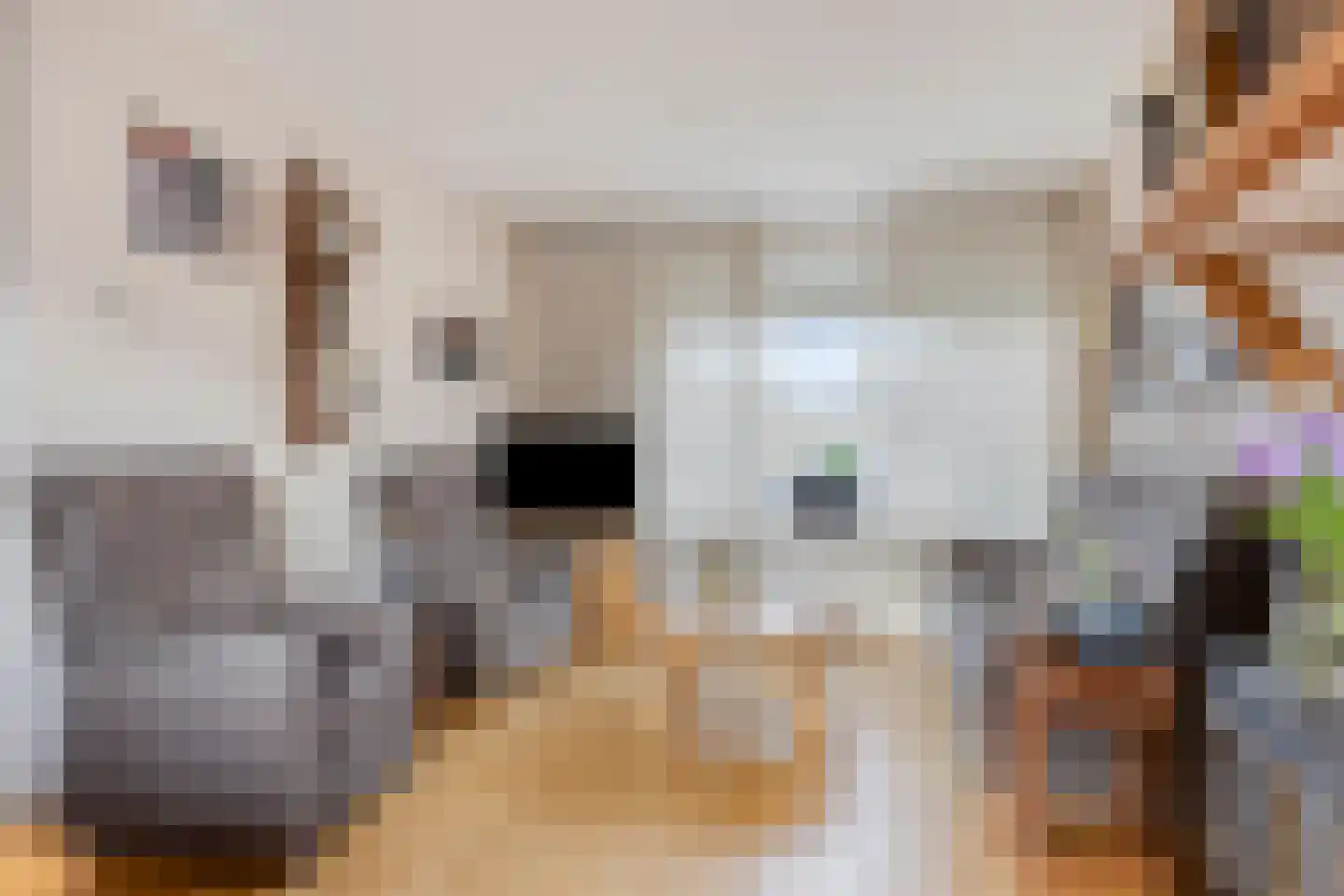 Asterstraat 11 Made thumbnail 9