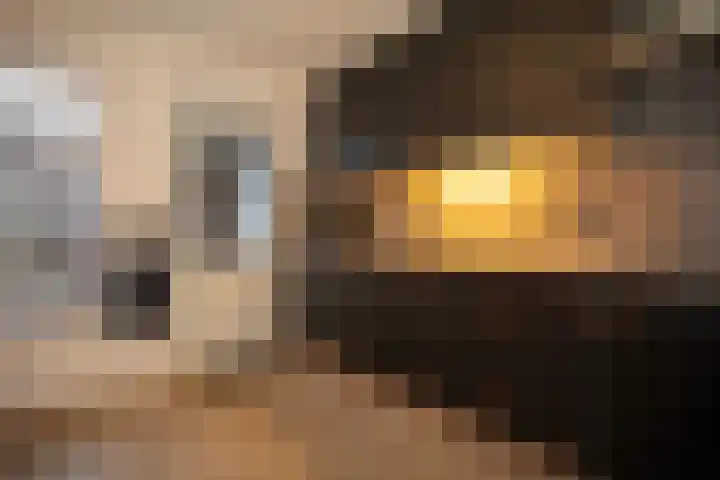 Asterstraat 14 Wierden thumbnail 18