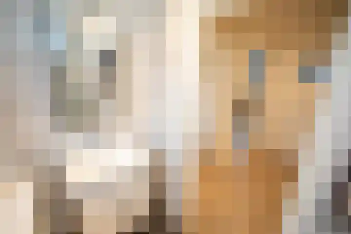 Asterstraat 14 Wierden thumbnail 32