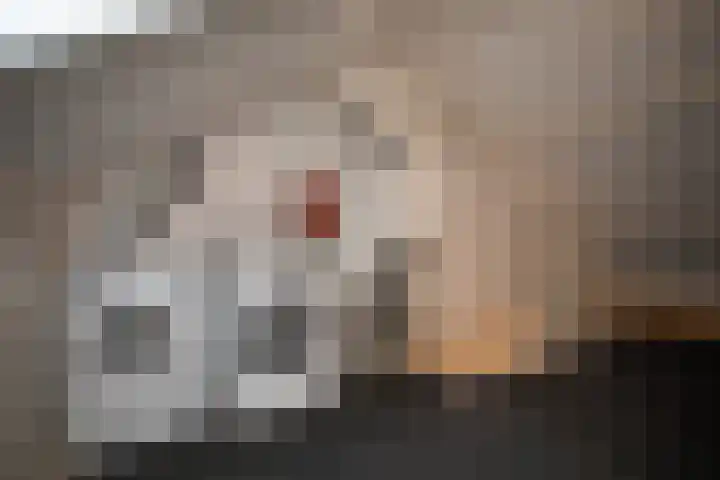 Asterstraat 14 Wierden thumbnail 33