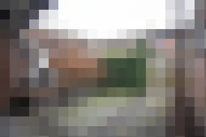 Asterstraat 14 Wierden thumbnail 48