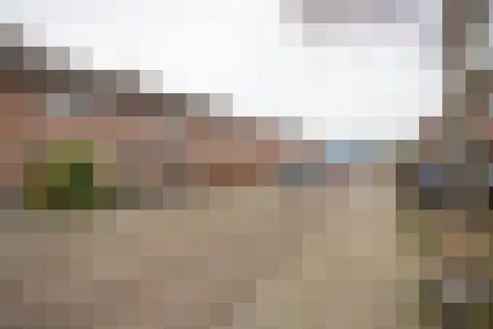 Asterstraat 14 Wierden thumbnail 51