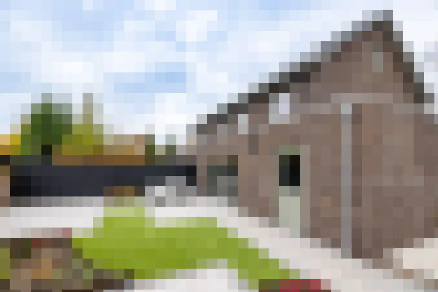 Asterstraat 161 Doetinchem thumbnail 22