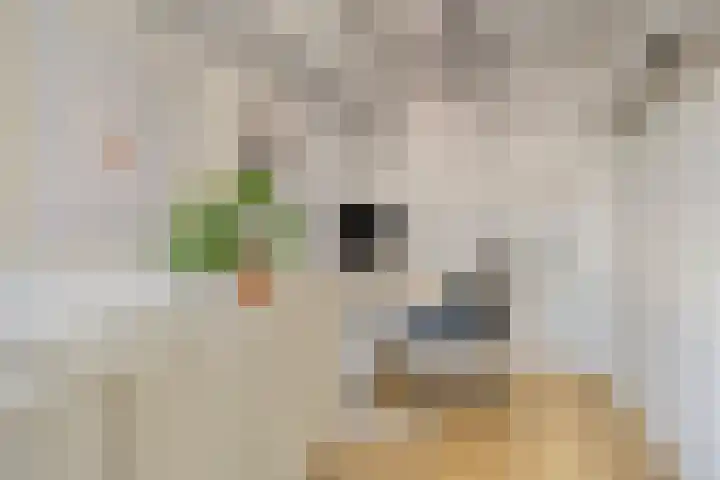 Asterstraat 19 Utrecht thumbnail 37