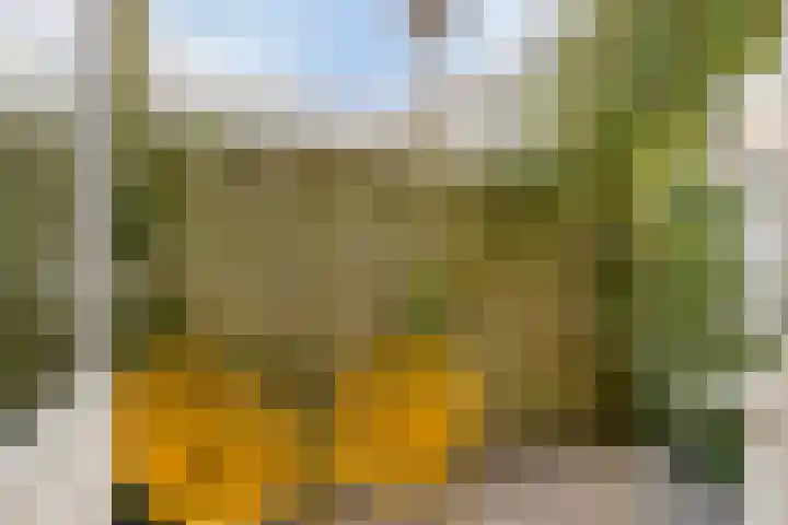 Asterstraat 19 Utrecht thumbnail 39