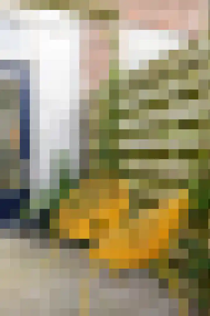 Asterstraat 19 Utrecht thumbnail 47