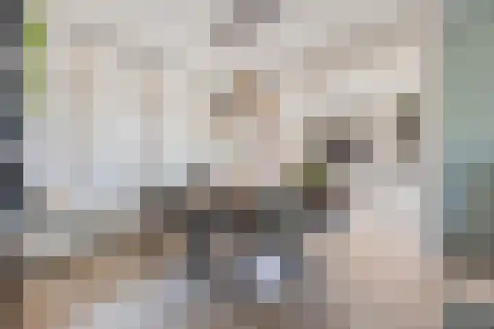 Asterstraat 2 Dongen thumbnail 13