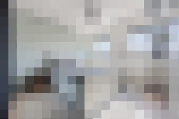 Asterstraat 2 Dongen thumbnail 24