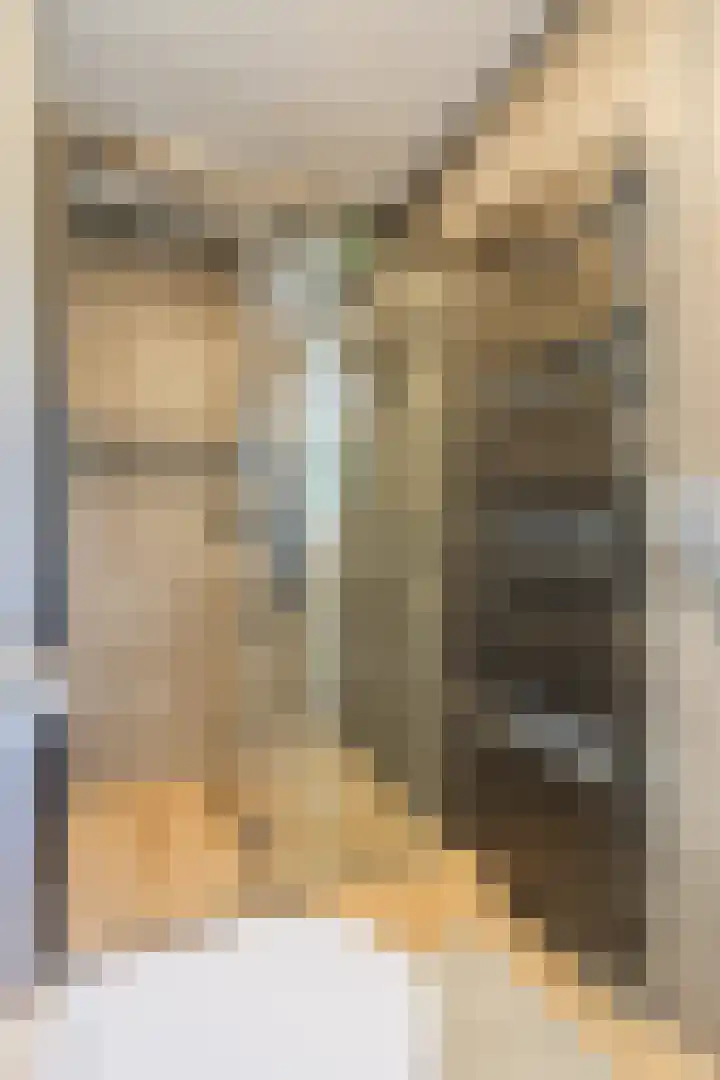 Asterstraat 2 Dongen thumbnail 28