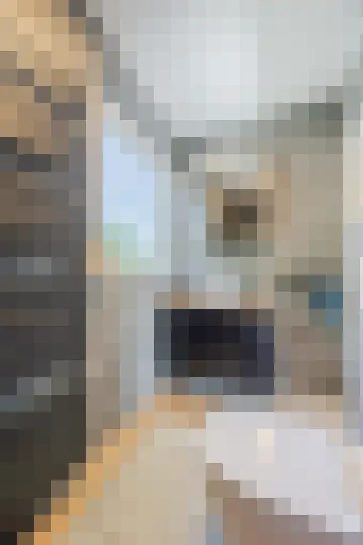 Asterstraat 2 Dongen thumbnail 29