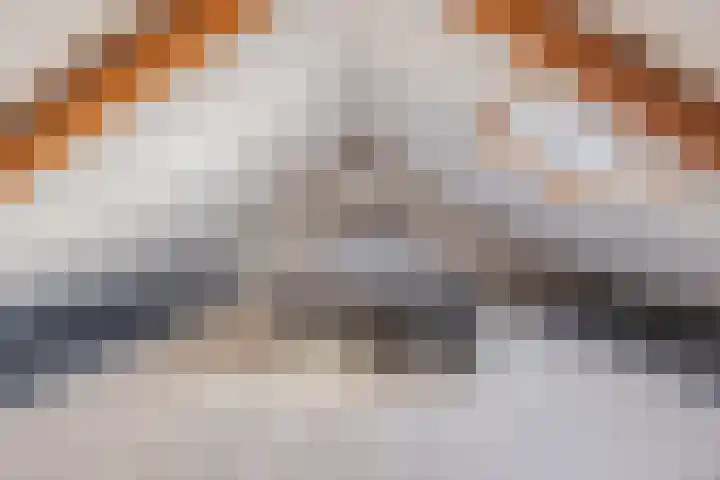 Asterstraat 2 Dongen thumbnail 32