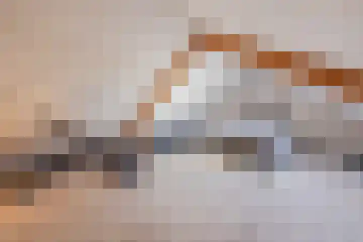 Asterstraat 2 Dongen thumbnail 33