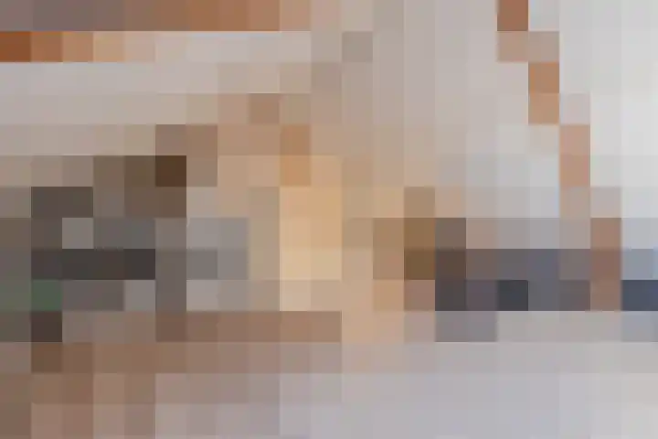 Asterstraat 2 Dongen thumbnail 34