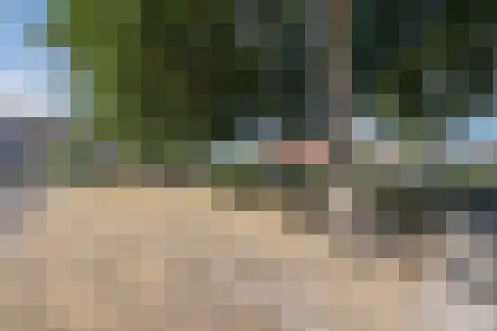 Asterstraat 2 Dongen thumbnail 45