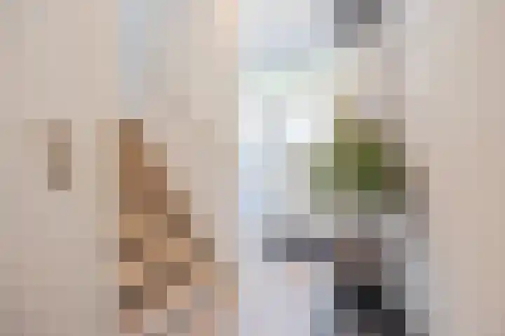 Asterstraat 2 Dongen thumbnail 8