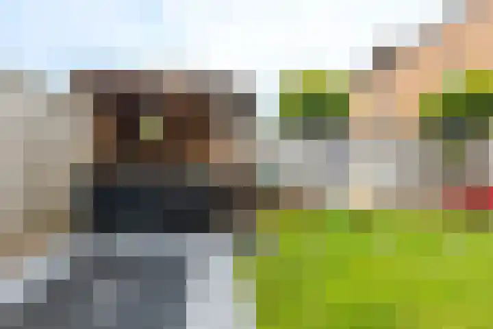 Asterstraat 30 Wierden thumbnail 47