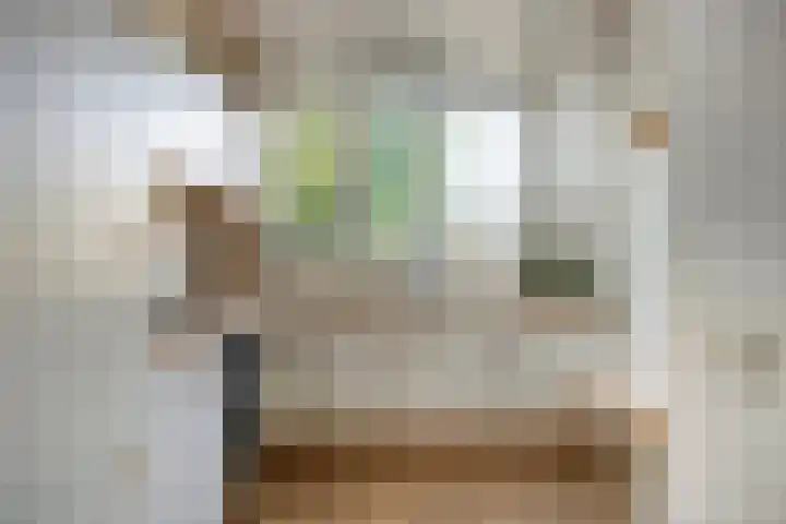 Asterstraat 33 Asten thumbnail 17