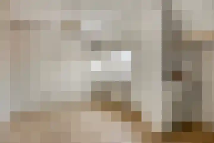 Asterstraat 33 Asten thumbnail 25