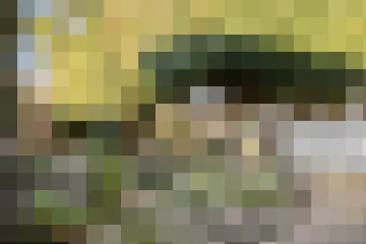 Asterstraat 33 Asten thumbnail 4