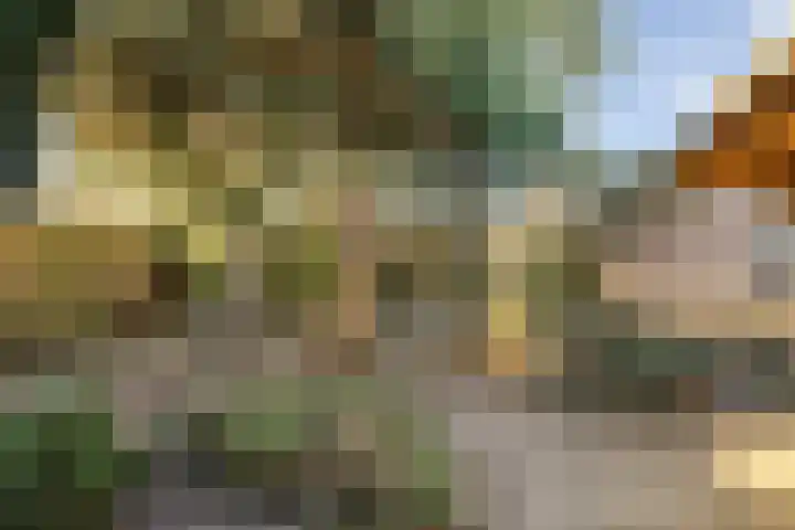 Asterstraat 33 Asten thumbnail 5