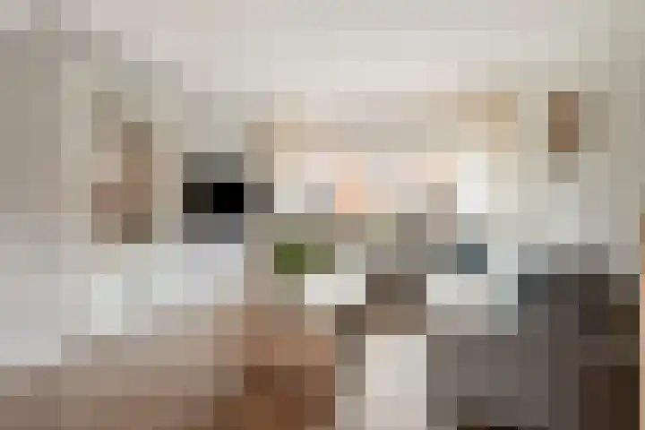 Asterstraat 4 Wierden thumbnail 11